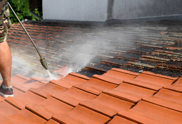 Best Deck Pressure Washing  in Harrison, MI