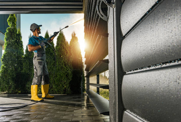 Best Exterior Home Cleaning  in Harrison, MI