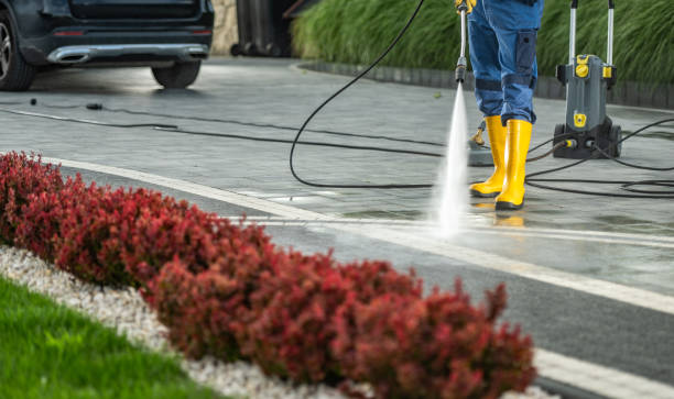 Best Pressure Washing Services Near Me  in Harrison, MI