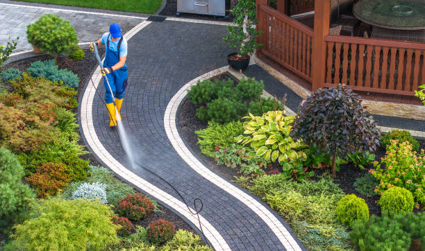 Trusted Harrison, MI Pressure Washing Experts
